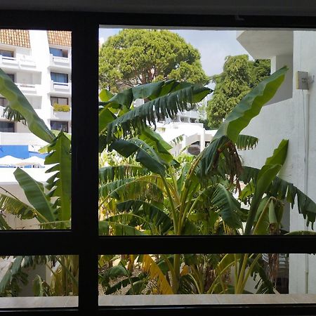 Playa Las Fuentes Alcossebre エクステリア 写真