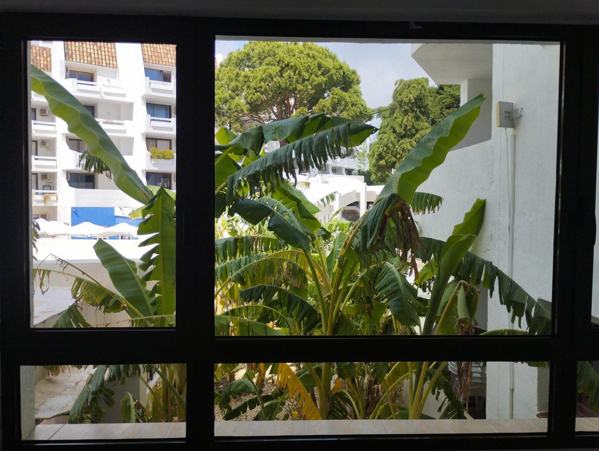 Playa Las Fuentes Alcossebre エクステリア 写真